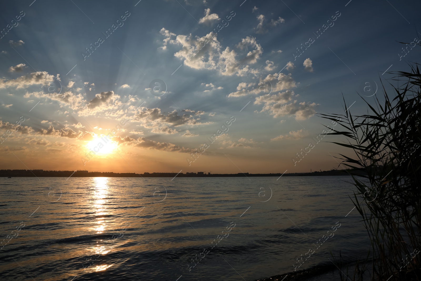 Photo of Picturesque view of beautiful sunrise on riverside. Morning sky