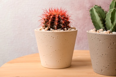 Photo of Beautiful cacti on wooden table