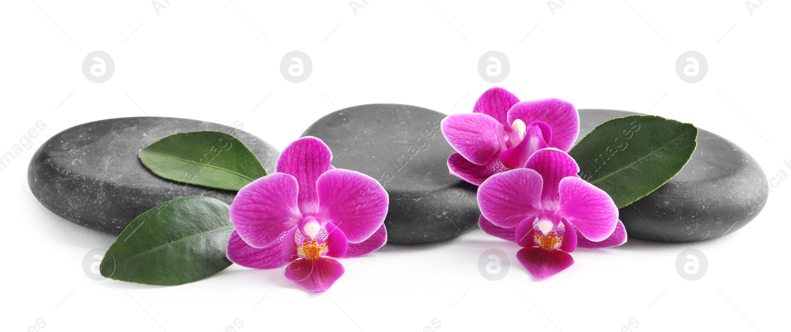 Photo of Pile of spa stones and orchid flowers on white background