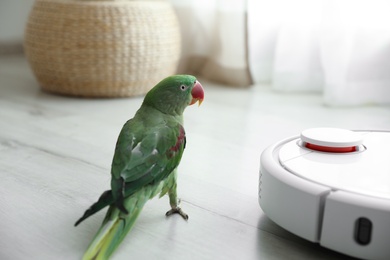 Modern robotic vacuum cleaner and Alexandrine parakeet on floor indoors