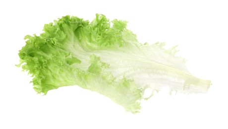 Fresh green lettuce leaf isolated on white