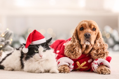 Photo of Adorable Cocker Spaniel dog with cat in Christmas sweater and Santa hat on blurred background