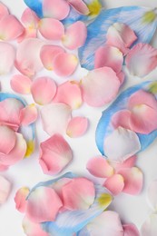 Beautiful petals on white background, flat lay