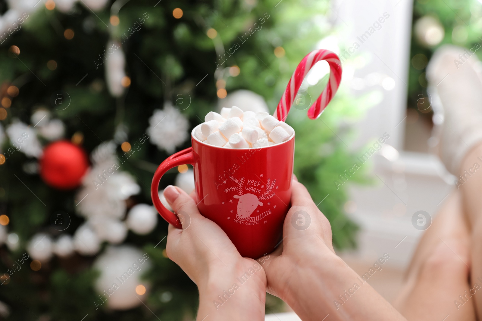 Photo of Woman with cup of delicious hot drink near Christmas tree indoors, closeup