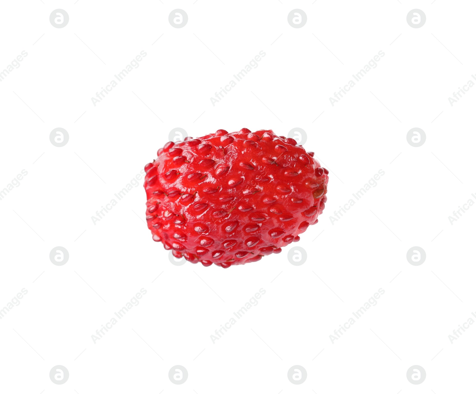 Photo of One ripe wild strawberry isolated on white