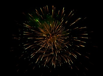 Image of Beautiful bright fireworks lighting up night sky