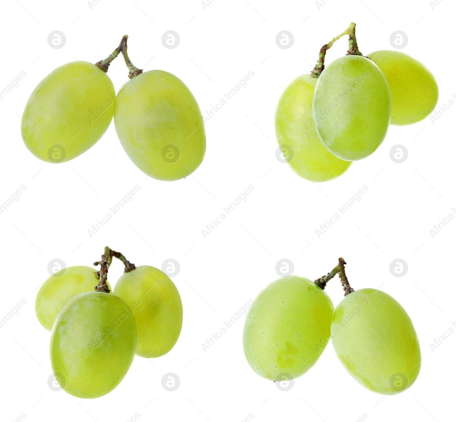 Image of Delicious fresh grapes isolated on white, set