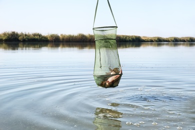 Photo of Man holding fishing net with catch over river on sunny day