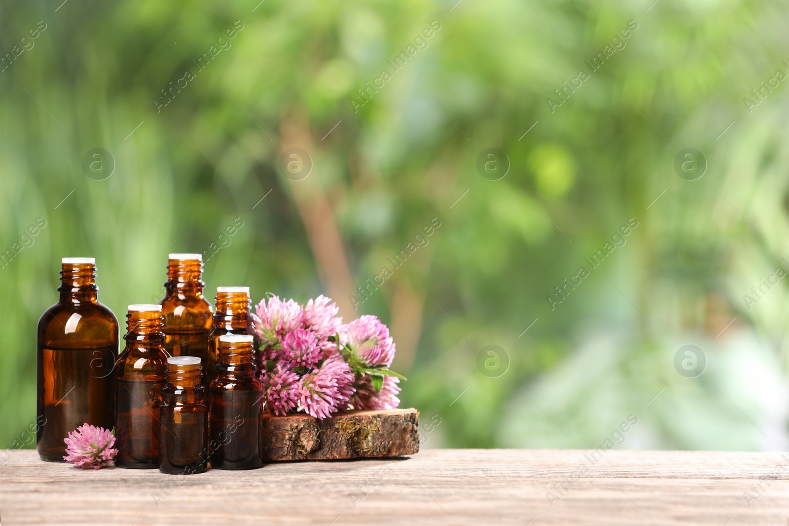 Photo of Bottles with essential oil and clover flowers on wooden table against blurred green background. Space for text