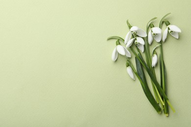 Beautiful snowdrops on light green background, flat lay. Space for text