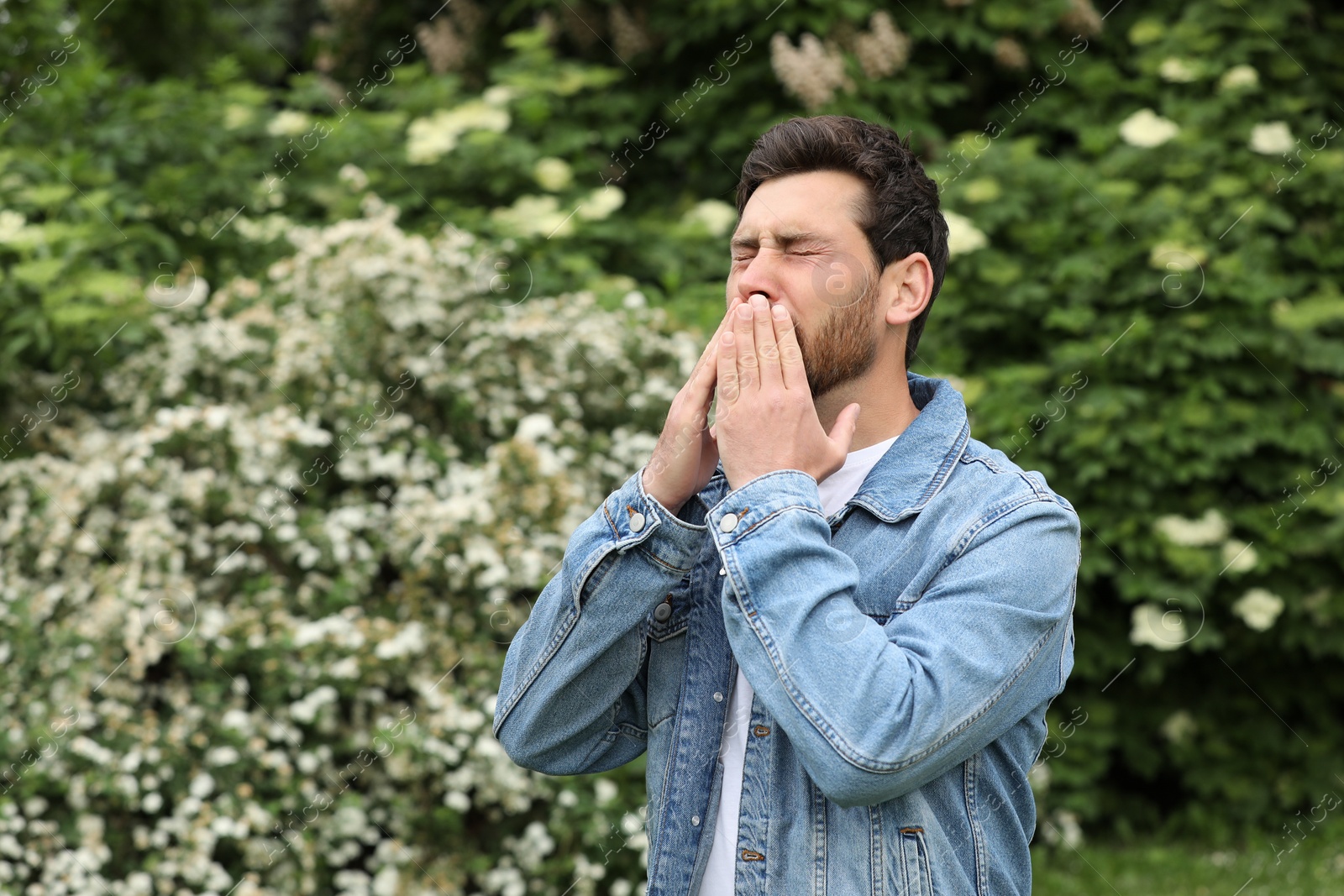 Photo of Man suffering from seasonal pollen allergy near blossoming tree on spring day