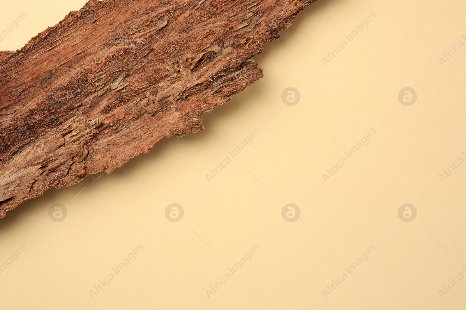 Photo of Tree bark piece on beige background, top view. Space for text