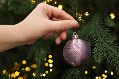 Photo of Woman decorating fir tree with violet Christmas ball, closeup