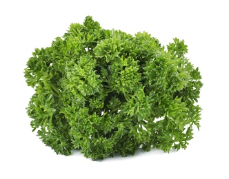 Photo of Bunch of fresh green parsley on white background