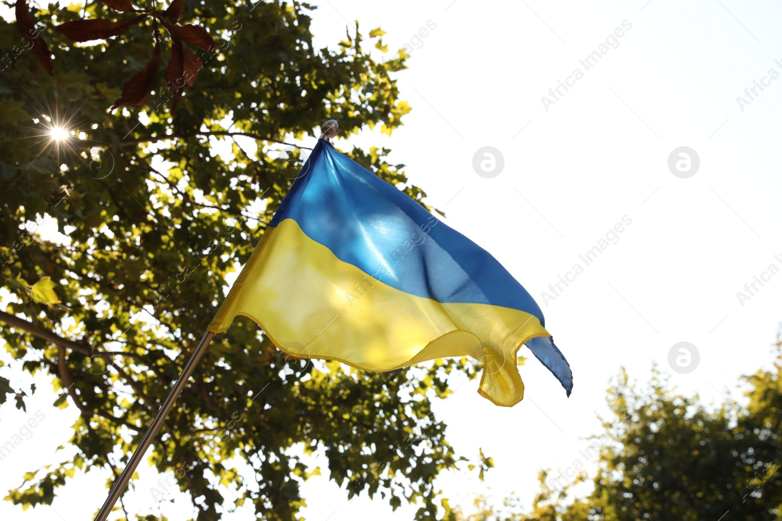 Photo of National flag of Ukraine fluttering on sunny day outdoors