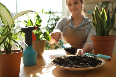 Young beautiful woman taking care of home plants at wooden table indoors