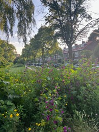 Photo of Beautiful view of flowers on city street