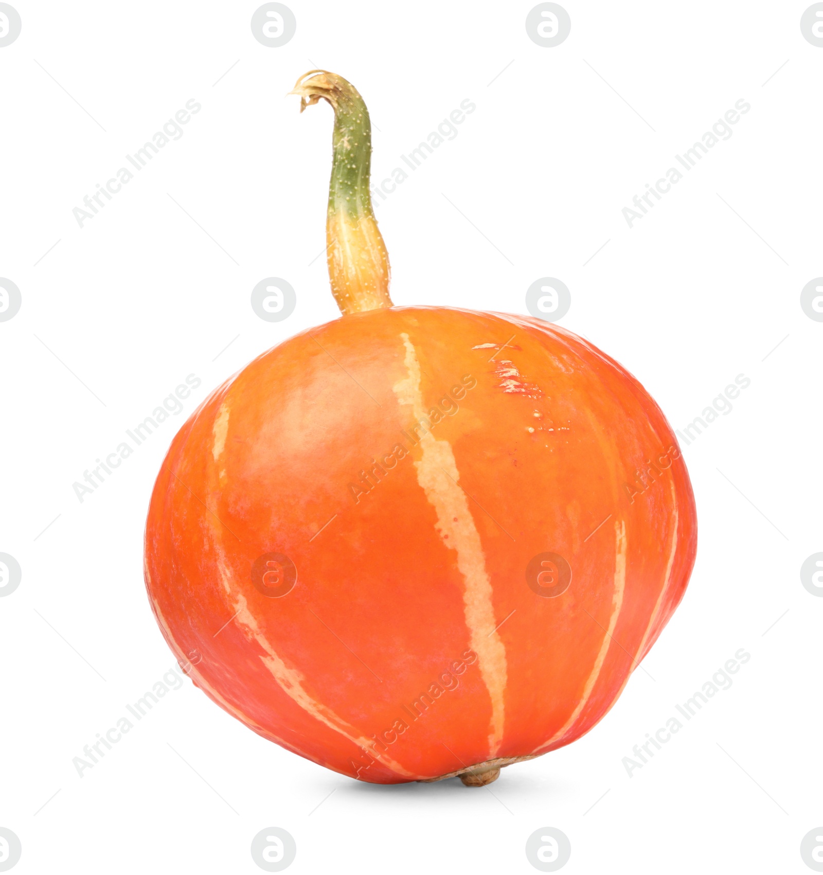 Photo of One whole ripe pumpkin isolated on white