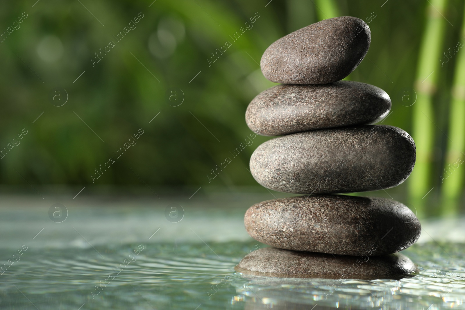 Photo of Stacked stones on water surface against bamboo stems and green leaves, closeup. Space for text