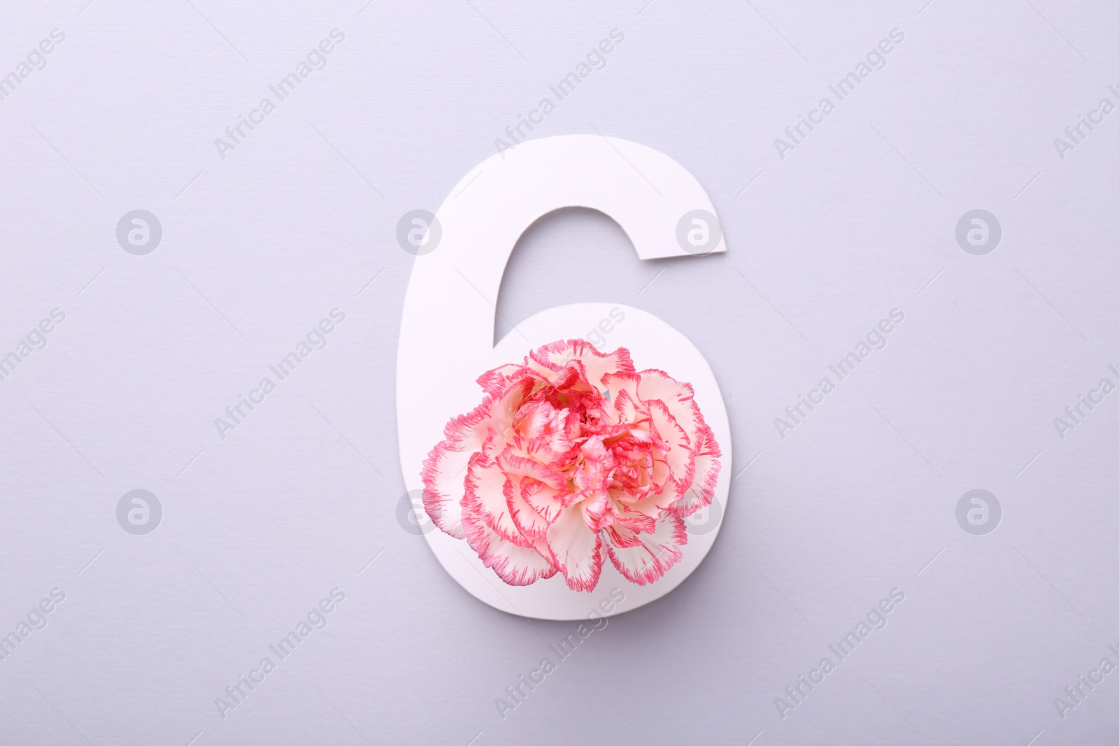 Photo of Paper number 6 and beautiful flower on light grey background, top view