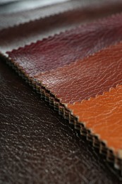 Texture of different leather as background, closeup