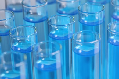 Photo of Test tubes with light blue reagents, closeup. Laboratory analysis