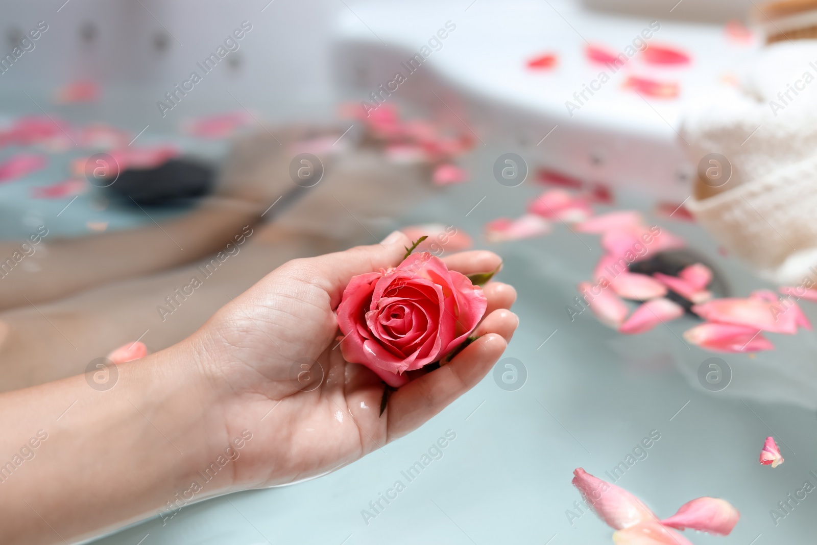 Photo of Woman holding rose flower while taking bath, closeup. Romantic atmosphere