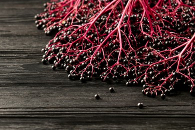 Photo of Bunches of ripe elderberries on black wooden table, space for text