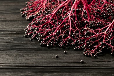 Bunches of ripe elderberries on black wooden table, space for text