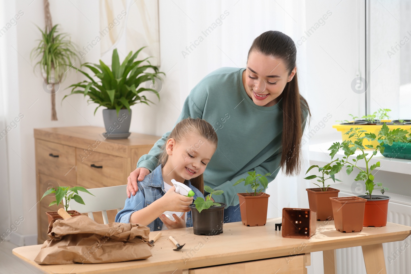 Photo of Mother and daughter spraying seedling in pot together at wooden table in room