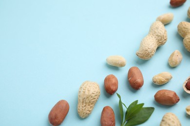 Photo of Fresh peanuts and leaves on light blue table, above view. Space for text