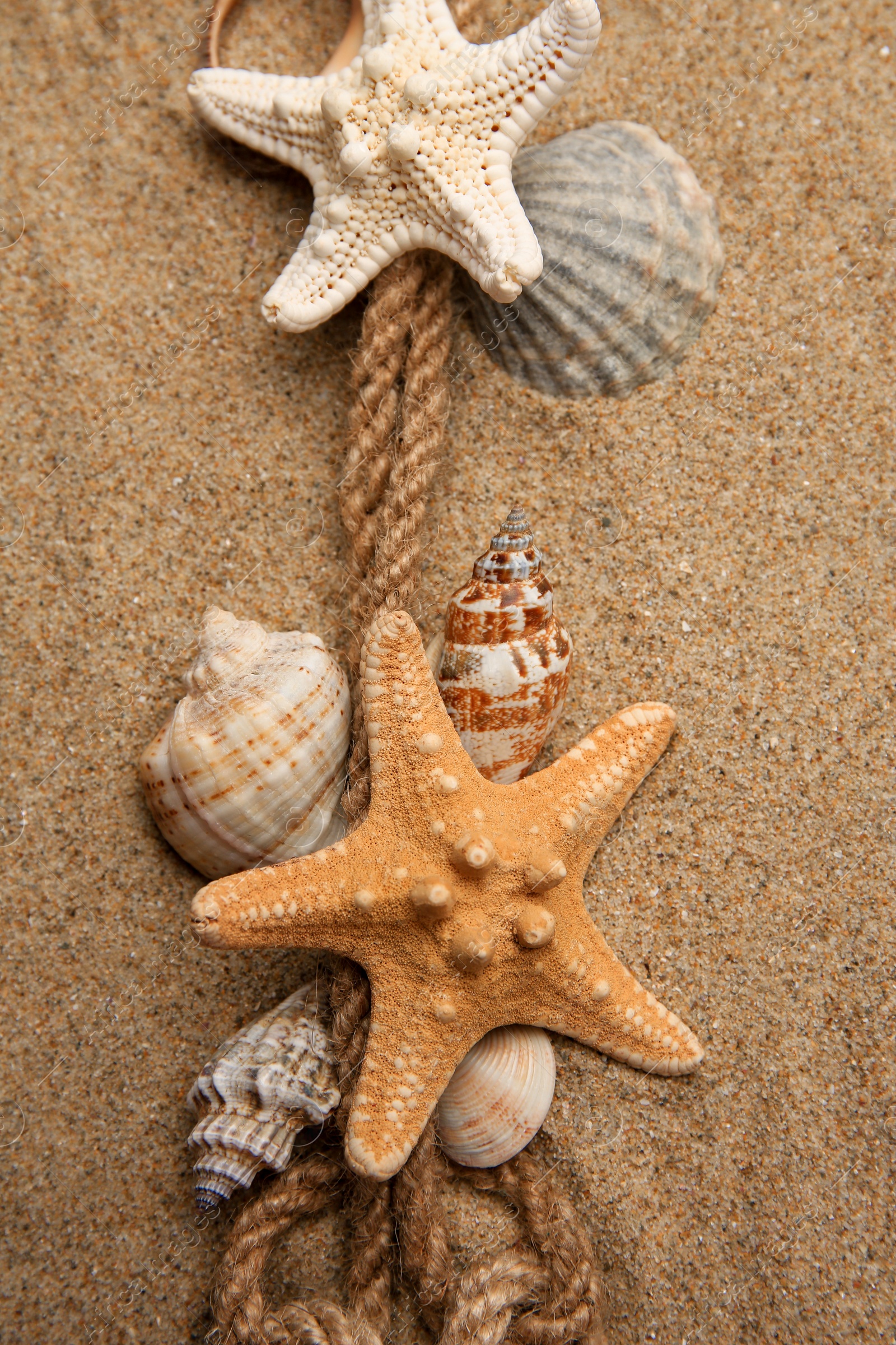 Photo of Beautiful sea stars, shells and rope on sand, flat lay