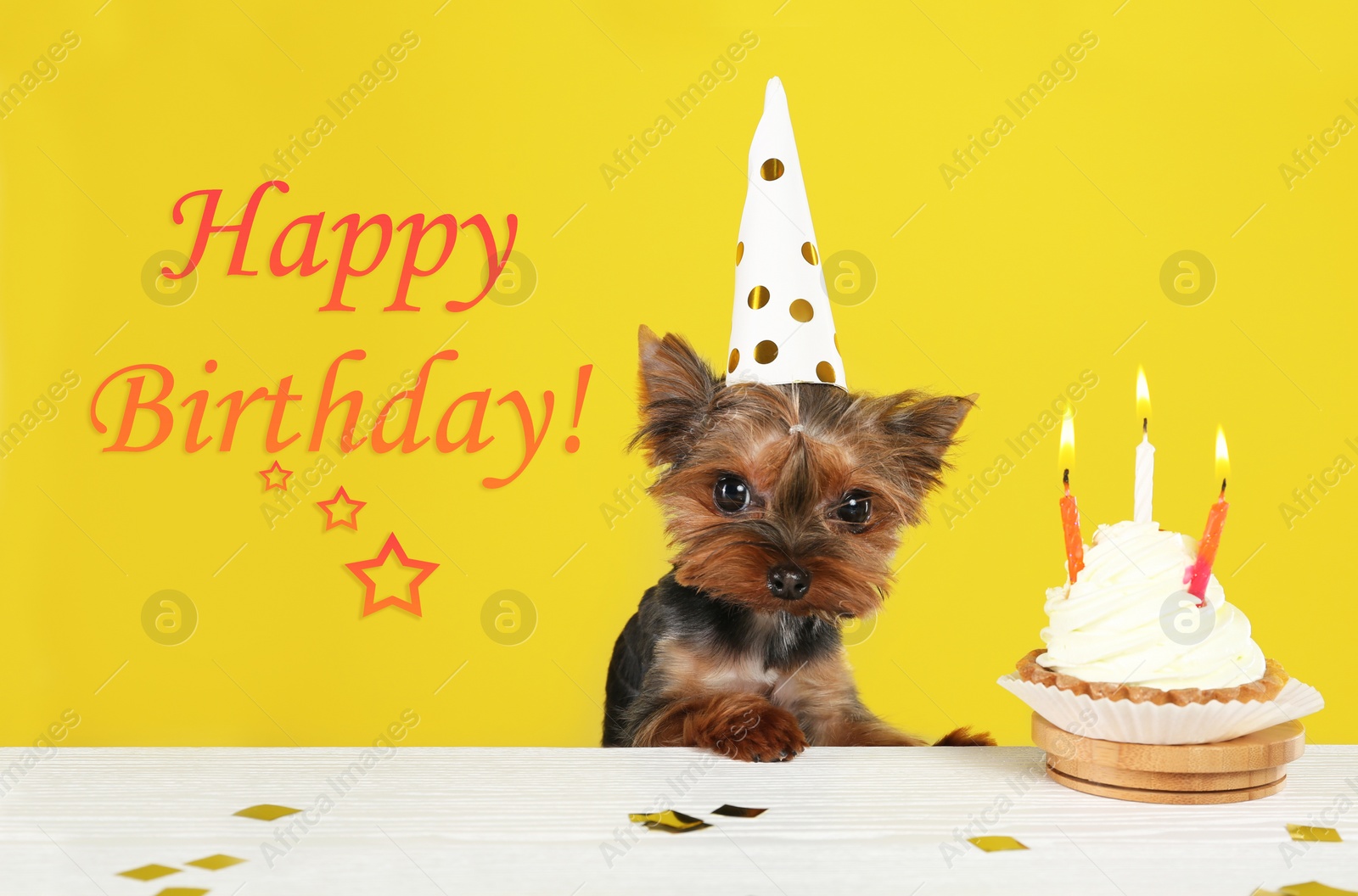 Image of Text Happy Birthday, Yorkshire terrier dog and delicious cupcake on yellow background