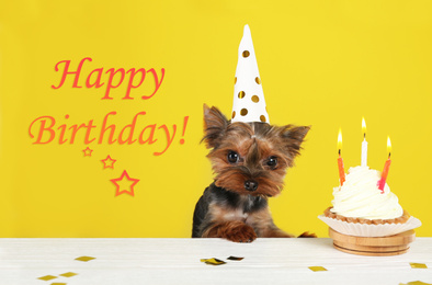 Image of Text Happy Birthday, Yorkshire terrier dog and delicious cupcake on yellow background