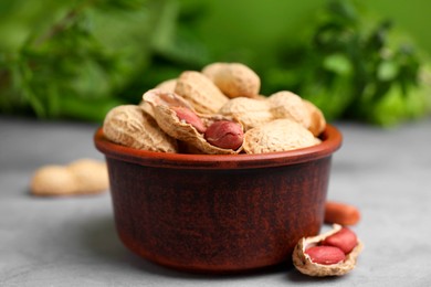 Photo of Fresh unpeeled peanuts in bowl on grey table against blurred green background, closeup