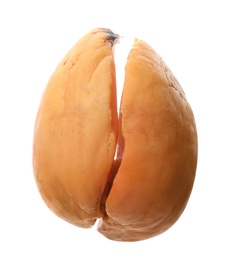 Avocado pit with sprout and root on white background