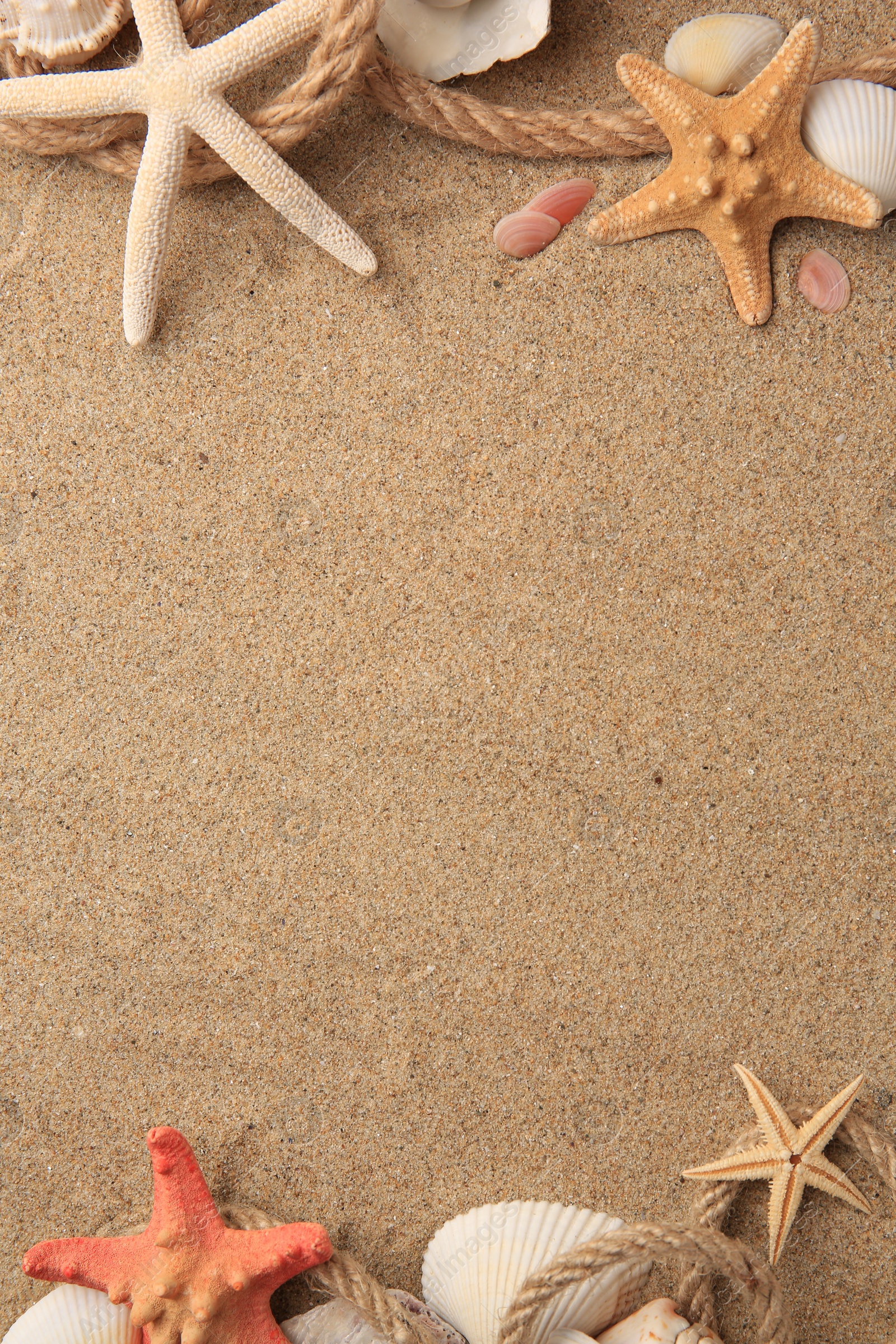 Photo of Beautiful sea stars, shells and ropes on sand, flat lay. Space for text