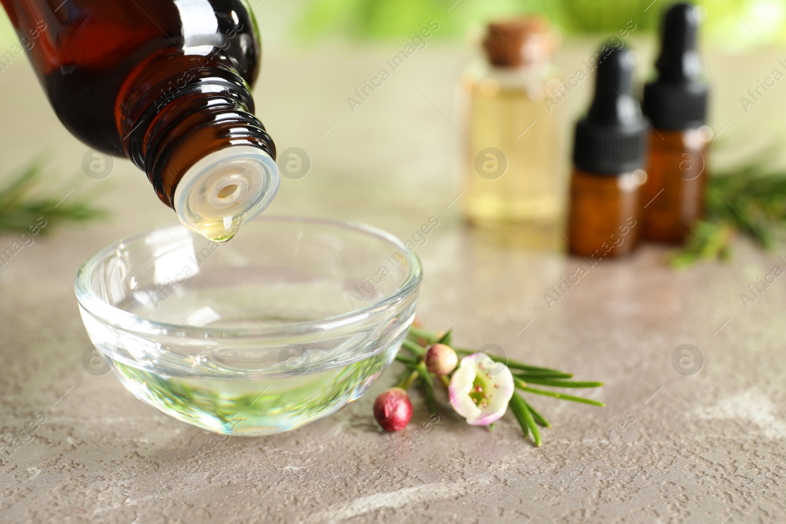 Photo of Dripping natural tea tree oil from bottle into bowl on table, space for text