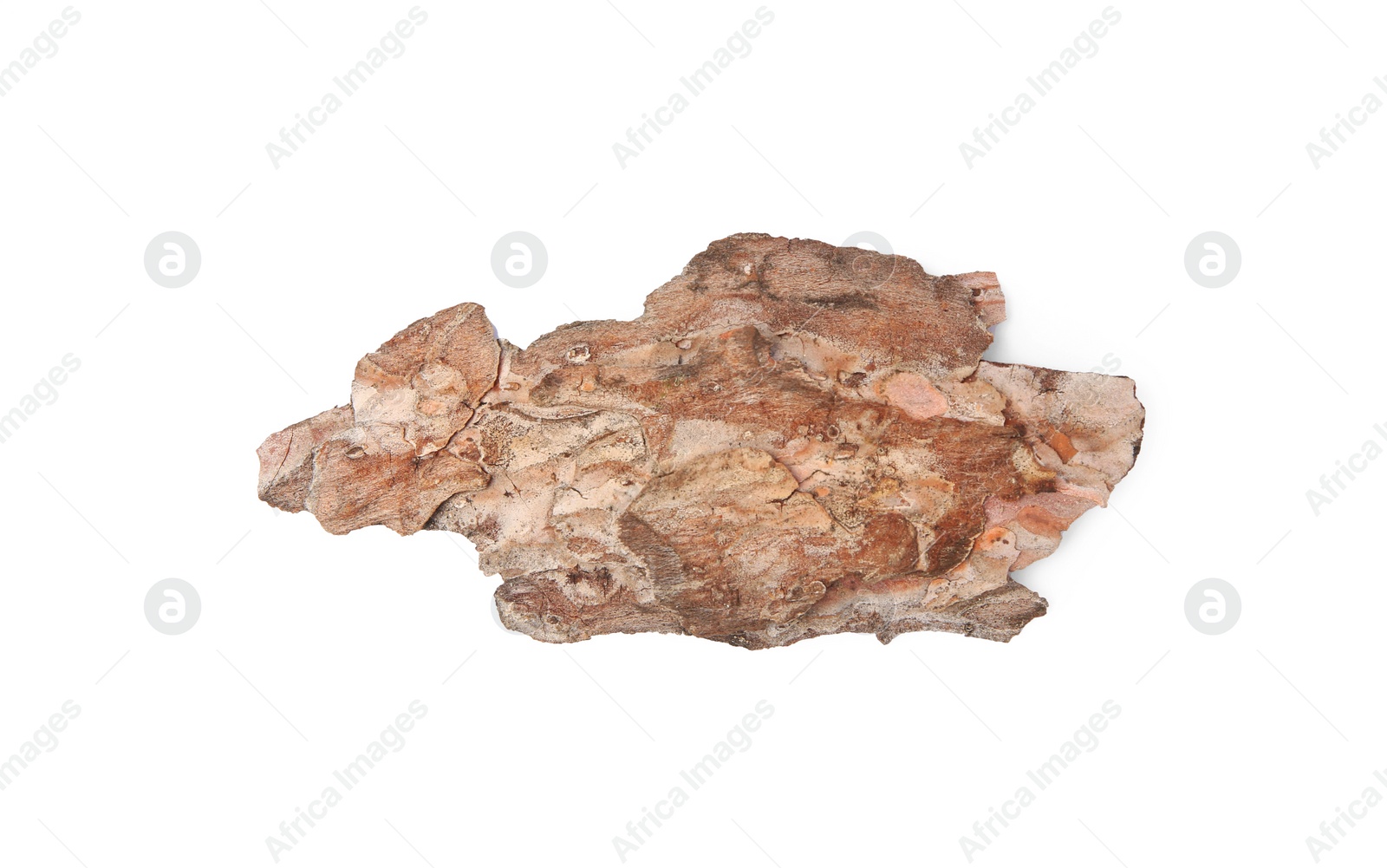 Photo of Tree bark piece isolated on white, top view