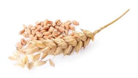 Photo of Pile of wheat grains and spike on white background