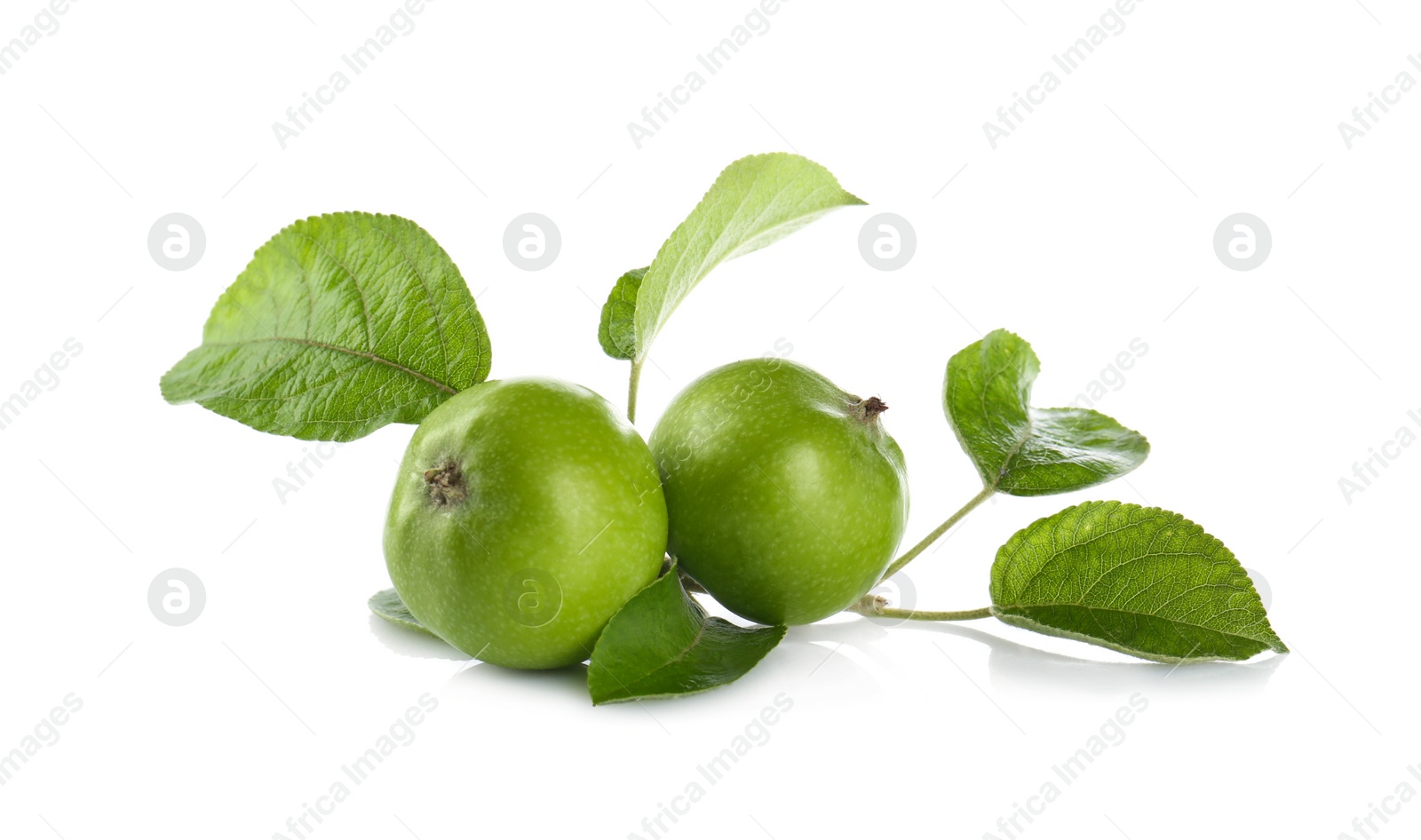 Photo of Fresh juicy apples with leaves isolated on white