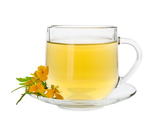 Photo of Glass cup of aromatic celandine tea and flowers on white background
