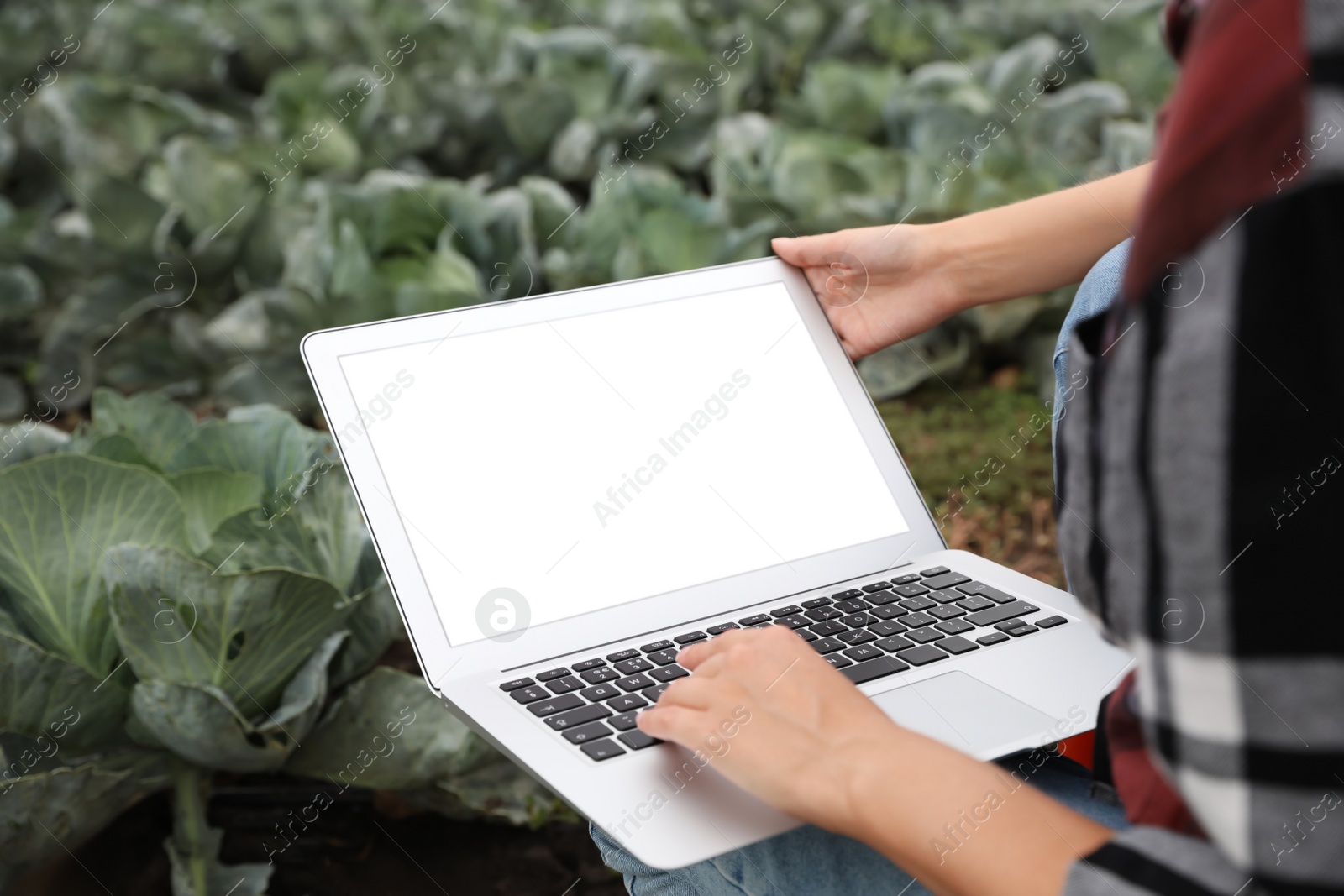 Photo of Woman using laptop with blank screen in field, closeup. Agriculture technology