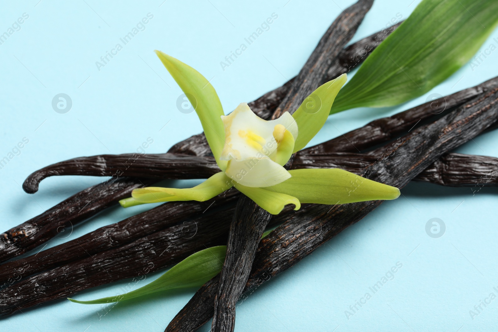 Photo of Vanilla pods, beautiful flower and green leaves on light blue background, closeup