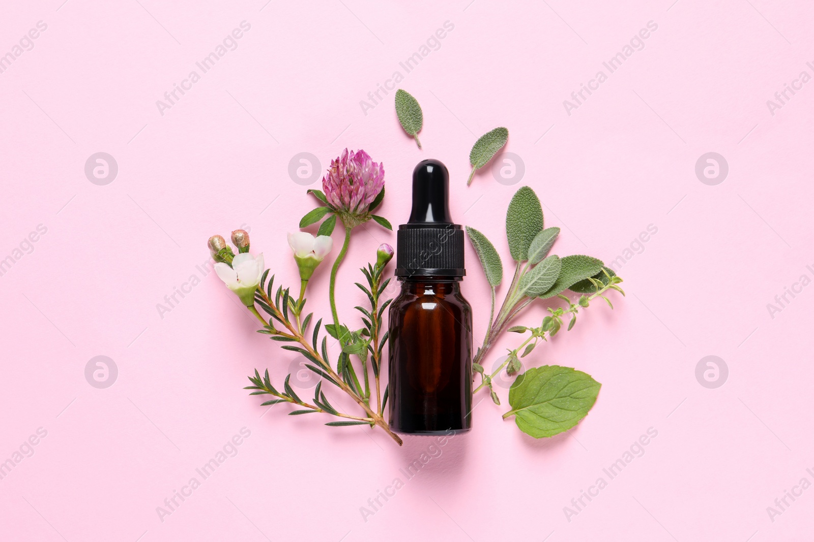 Photo of Bottle of essential oil, different herbs and flowers on pink background, flat lay