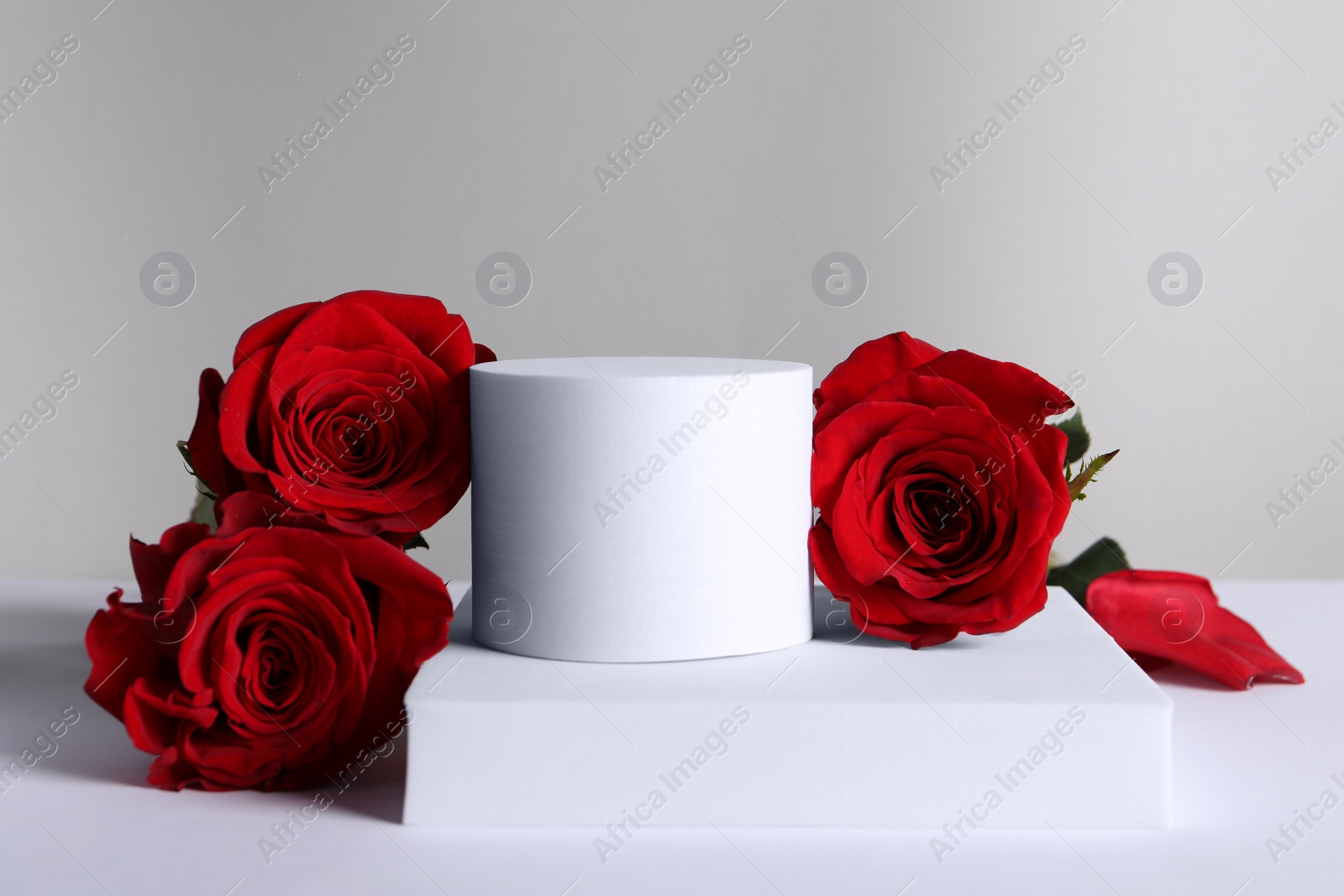 Photo of Stylish presentation for product. Beautiful red roses and geometric figures on light background