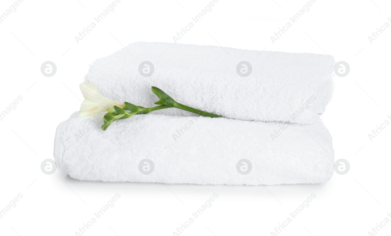 Photo of Terry towels and freesia flower isolated on white