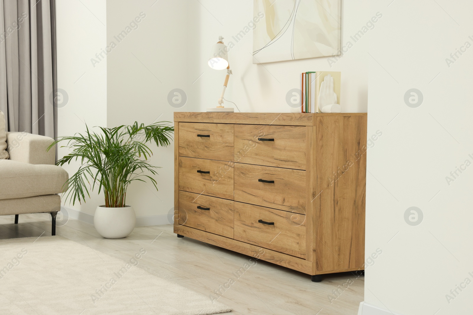 Photo of Stylish living room with wooden chest of drawers, potted plant and beautiful picture. Interior design