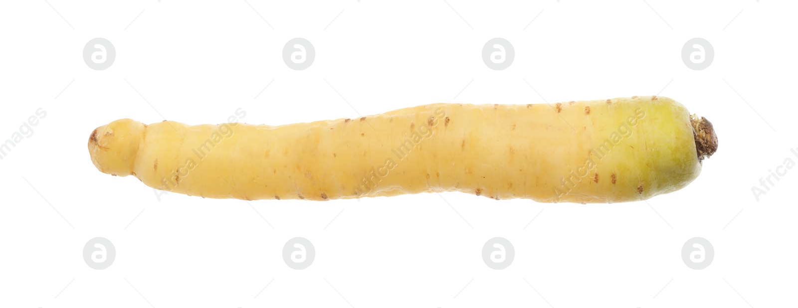 Photo of Whole fresh raw carrot isolated on white