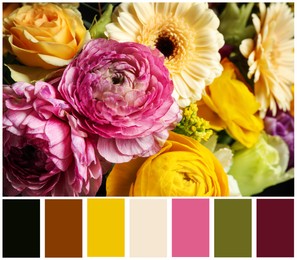 Beautiful fresh flowers and color palette. Collage